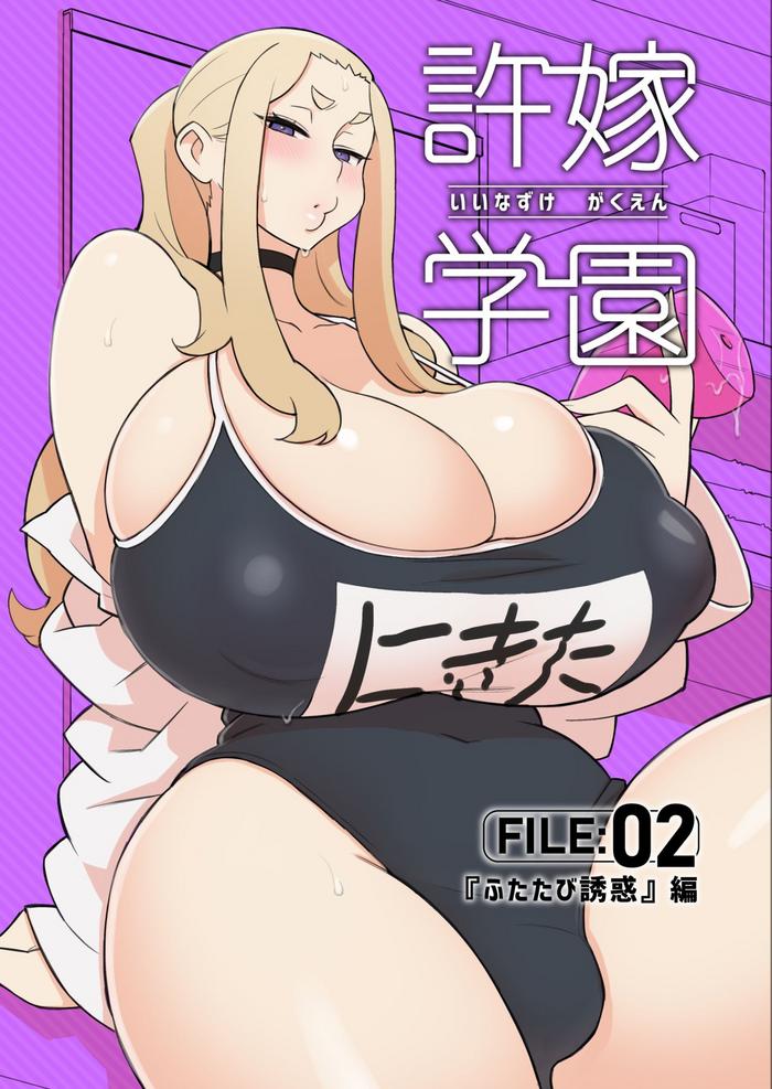 iinazuke gakuen file 02 futatabi yuwaku hen cover