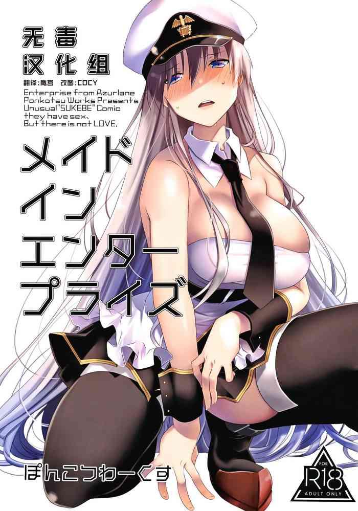 maid in enterprise cover