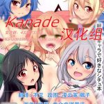 kanade 14 project cover