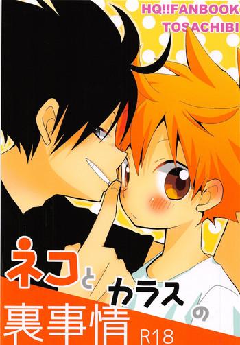 neko to karasu no ura jijou cover