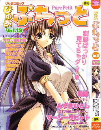 pure petit vol 13 cover