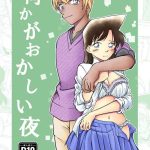 detective conan something s wrong night sample cover