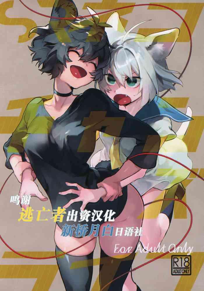 sr neko chans life cover