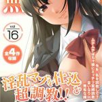 vol 16 cover