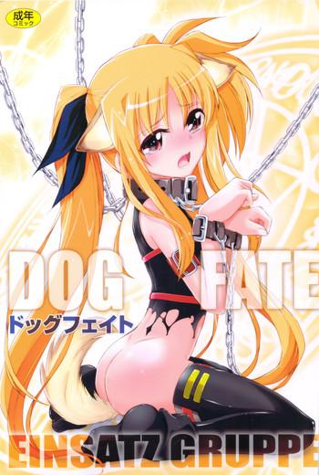 dog fate cover